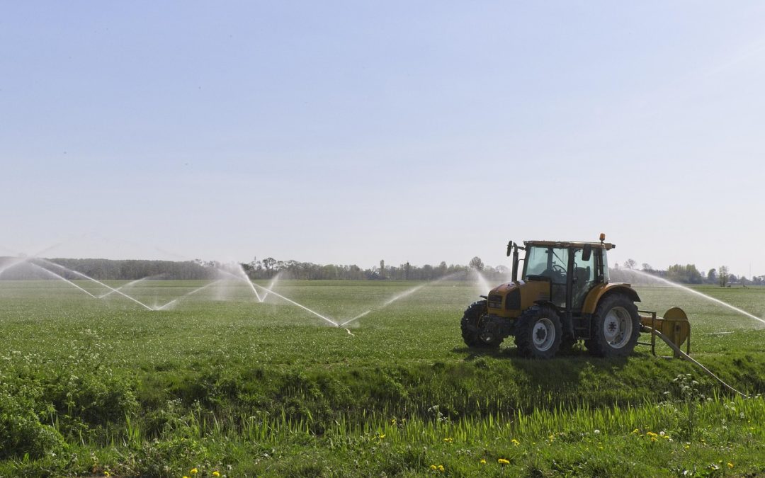 Dinas Damkar Tangerang Selatan Bantu Tabrakan Kendaraan di Sekolah